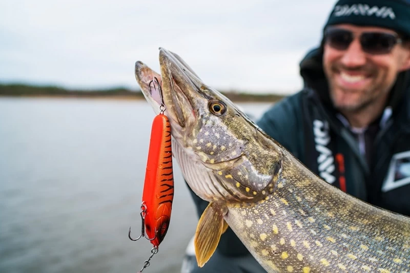 Daiwa Prorex Lazy Jerk Slow Sink – Bild 2