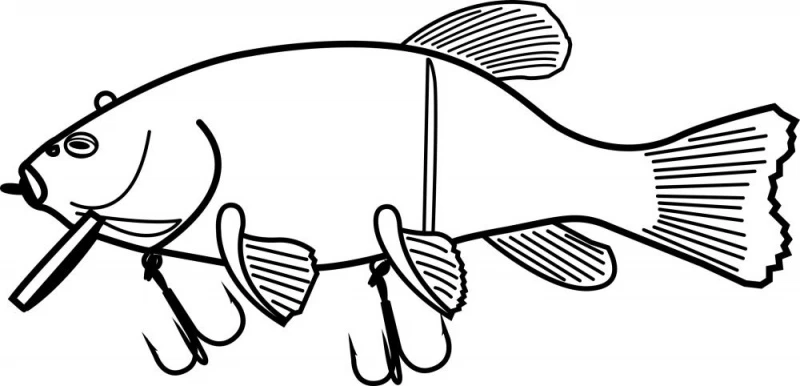 Quantum Freak Of Nature Hybrid Tench 23cm, 175g – Bild 4