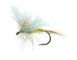 Gul Forsslända Yellow Daiichi 1180 #12