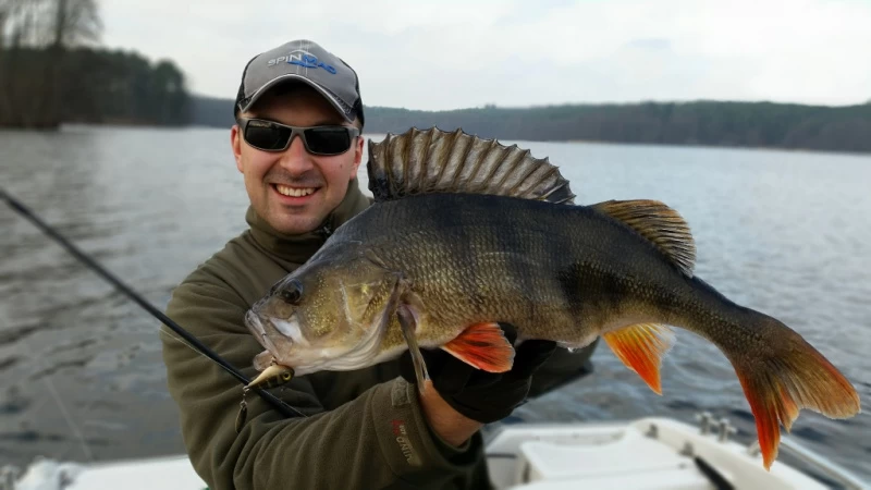 Spinmad Tail Spinner Jigmaster 8g – Bild 2