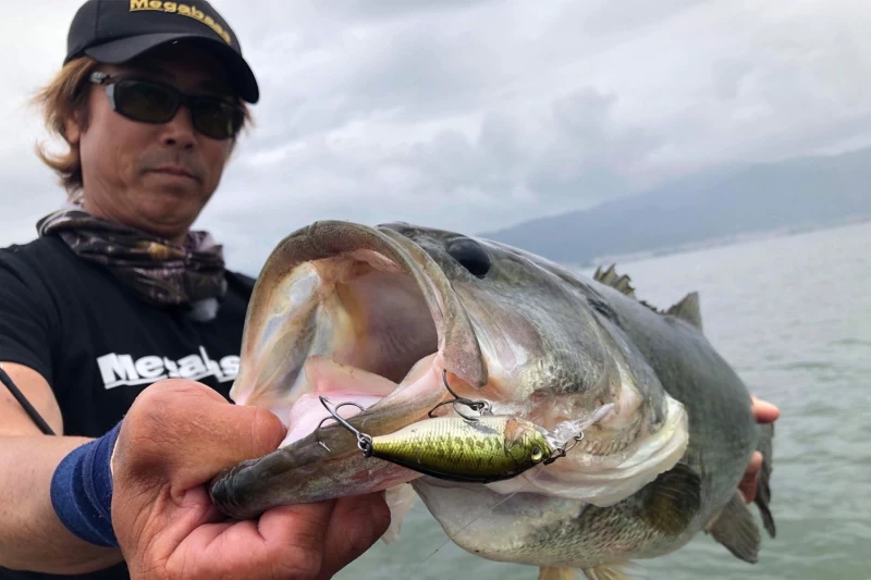 Megabass Deep-X 100 LBO – Bild 2