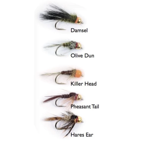 Goldheads Short Shank 5-pack